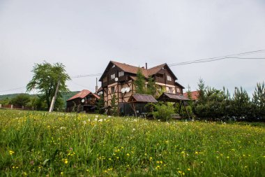 Dandelions dağ peyzaj alanı
