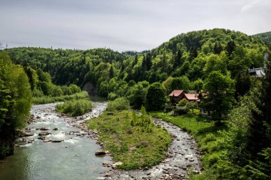 Yazın dağ nehrinin havadan görünüşü