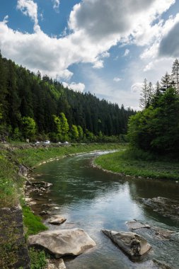Yazın dağ nehrinin havadan görünüşü