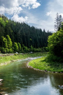Yazın dağ nehrinin havadan görünüşü