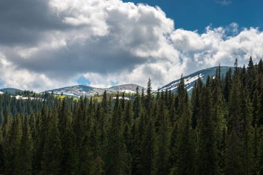 Yaz aylarında Karpat Dağları'nın havadan görünümü.