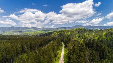 Yaz aylarında Karpat Dağları'nın havadan görünümü.