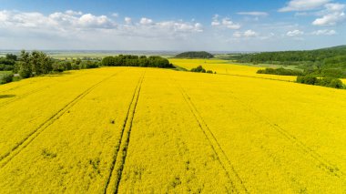 Ukrayna mavi gökyüzü ile bahar renkli kolza tohumu alanının havadan görünümü