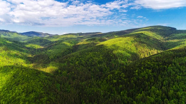 Vista Aérea Das Montanhas Dos Cárpatos Verão — Fotografia de Stock