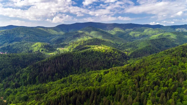 Vista Aérea Das Montanhas Dos Cárpatos Verão — Fotografia de Stock