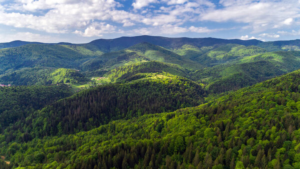 Aerial view of Carpathian mountains in summer.