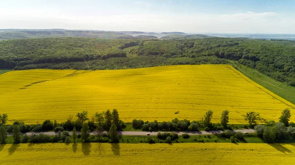 Letecký Pohled Barevné Řepkové Pole Jaře Modrou Oblohou Ukrajině — Stock fotografie