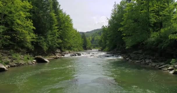 Вид Гірську Річку Влітку — стокове відео