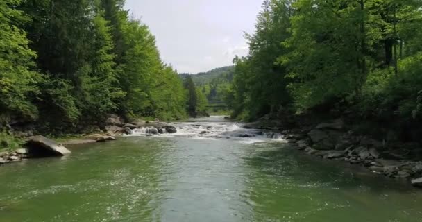 Vue Aérienne Rivière Montagne Été — Video