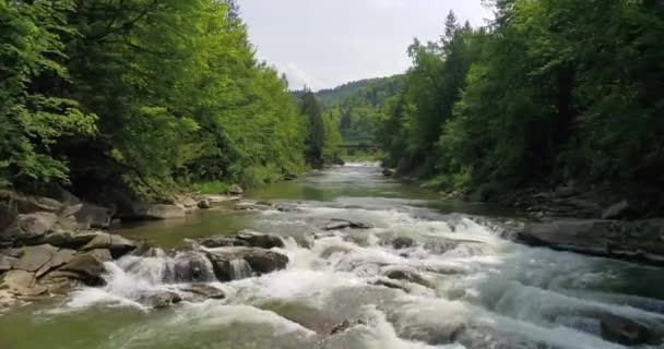 Luftaufnahme Des Gebirgsflusses Sommer — Stockvideo