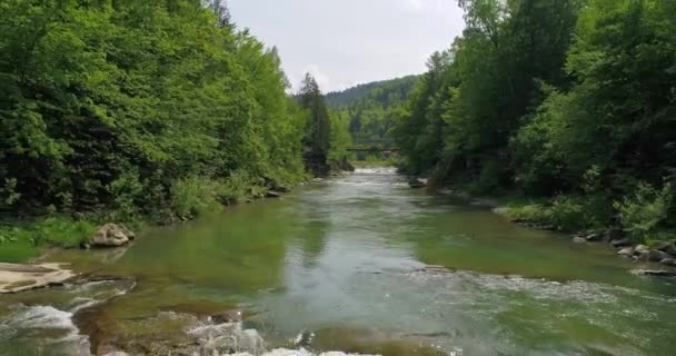 Luftaufnahme Des Gebirgsflusses Sommer — Stockvideo