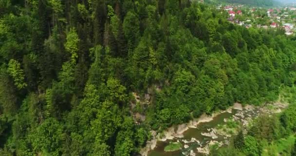 Luftaufnahme Der Karpaten Sommer — Stockvideo