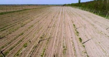 Havadan görünümü atlama alanı. Alan, hasat önce atlama.