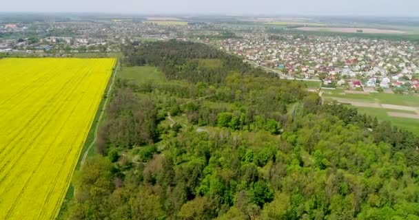 Widok z lotu ptaka kolorowe Rzepakowego pola na wiosnę — Wideo stockowe
