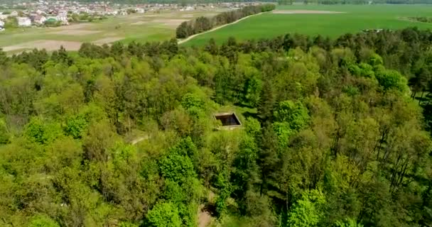 Vista aérea de la piscina en el bosque — Vídeos de Stock