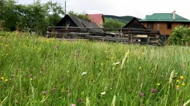 Prachtige berglandschap in het dorp. — Stockvideo