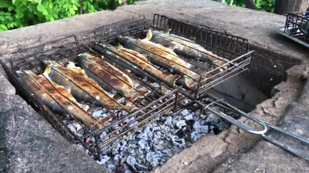 Grilled fish on the grill closeup — Stock Video