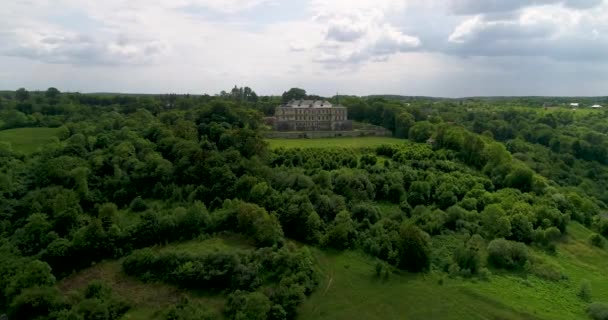 Pidhirtsi 鳥の飛行の高さからの城の眺め — ストック動画