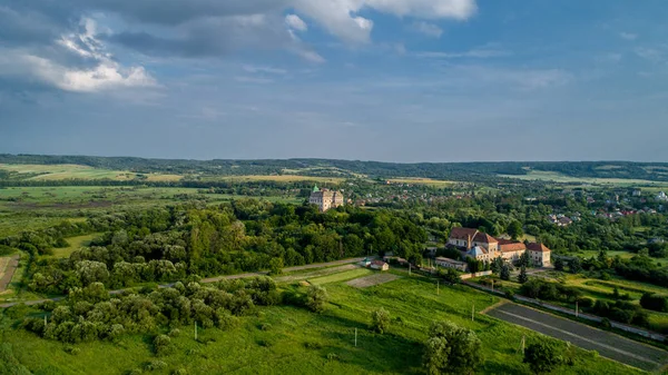 Zeer Mooie Kasteel Buurt Van Lviv Het Dorp Van Olesko — Stockfoto