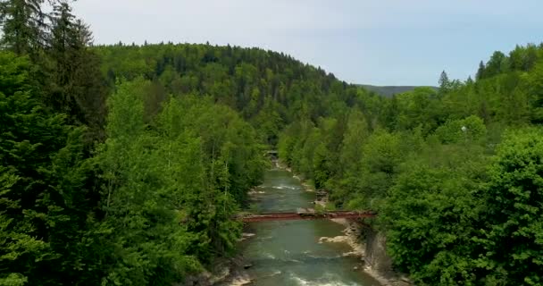 Vue Aérienne Belle Rivière Montagne Été — Video