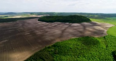 Güzel uzay manzara. Bir alan üzerinde mistik yeşil ağaçlar adasının havadan görünümü