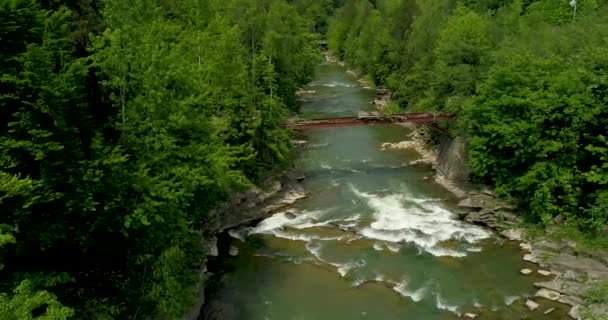 Вид Повітря Красиву Гірську Річку Влітку — стокове відео