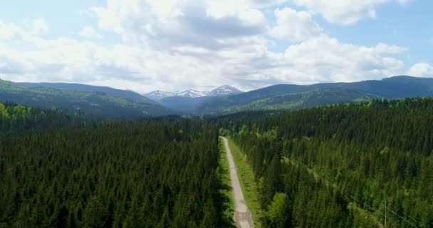 Vue Aérienne Route Menant Montagne Hoverla Ukraine Carpates — Video