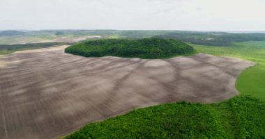 Güzel uzay manzara. Bir alan üzerinde mistik yeşil ağaçlar adasının havadan görünümü