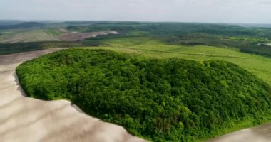 Güzel uzay manzara. Bir alan üzerinde mistik yeşil ağaçlar adasının havadan görünümü