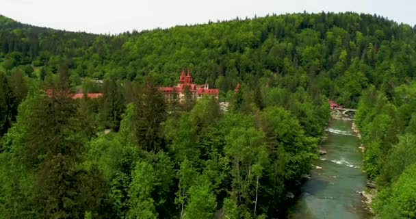 A légi felvétel a gyönyörű hegyi folyó nyáron. — Stock videók