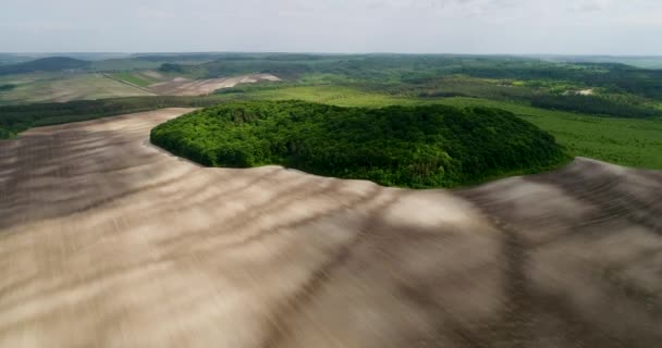Hermoso paisaje espacial. Vista aérea de la isla de árboles verdes místicos en un campo — Vídeos de Stock