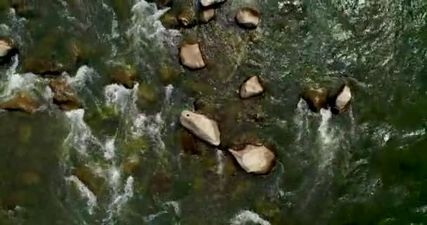 Luchtfoto van prachtige berg rivier in de zomer. — Stockvideo