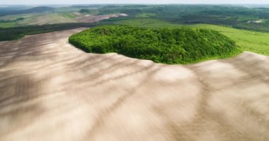 Güzel uzay manzara. Bir alan üzerinde mistik yeşil ağaçlar adasının havadan görünümü