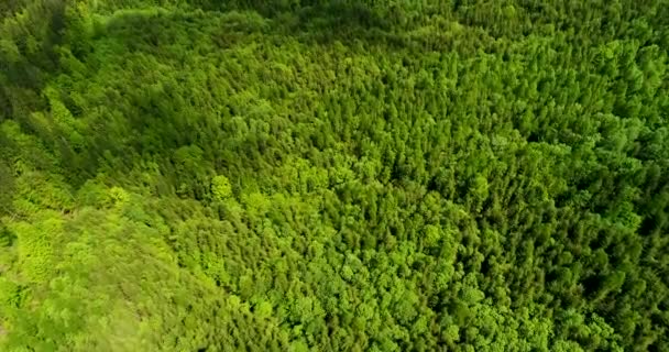 Aerial view of the landscape in mountains. — Stock Video