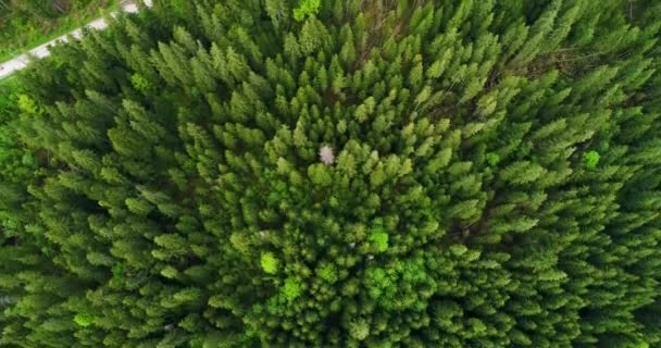 Luftaufnahme der schönen Landschaft in den Bergen. — Stockvideo