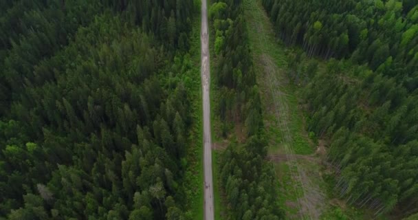 Vue aérienne du beau paysage en montagne . — Video