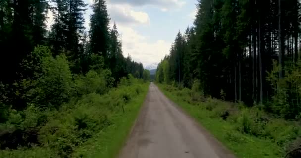 Vista aérea da estrada para a montanha Hoverla, Ucrânia Montanhas Cárpatas . — Vídeo de Stock