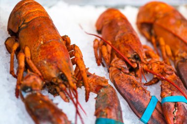 Haşlanmış kerevit buz üzerinde. Uzay kopyalayın. Bira için snack