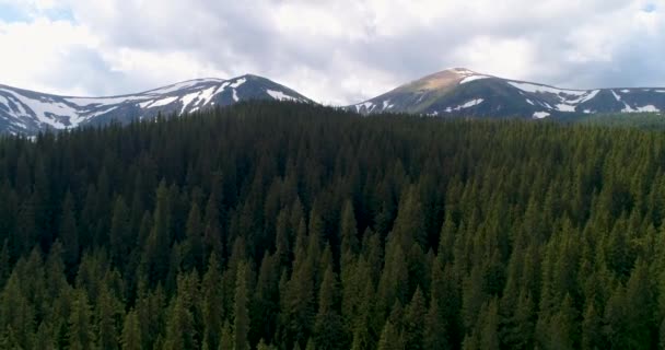 Luchtfoto panoramisch uitzicht op Mount Hoverla of Goverla, Oekraïne Karpaten. — Stockvideo