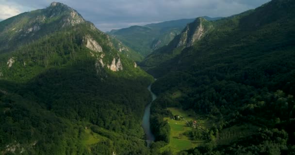 Vista aérea de un valle de montaña, bosque, cañón del río Tara en el Parque Nacional Durmitor, Montenegro — Vídeo de stock