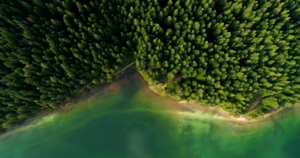 黒湖、モンテネグロの日当たりの良い夏の日にブルーの湖、緑の森の航空写真 — ストック動画