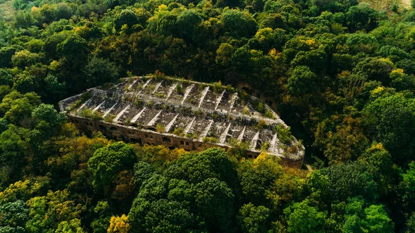 Aerial view of beautiful ancient fortress in forest in summer. Tarakaniv Fort. — Stock Photo, Image