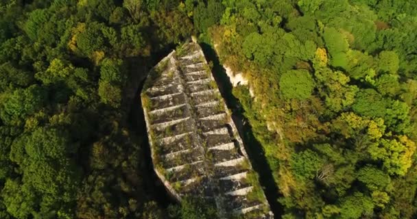 Letecký pohled na krásné starobylé pevnosti v lese v létě. Tarakaniv pevnost. — Stock video