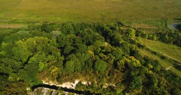 Vista aérea de la hermosa fortaleza antigua en el bosque en verano. Fuerte Tarakaniv . — Vídeos de Stock