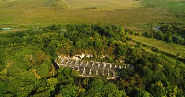 Vista aérea de la hermosa fortaleza antigua en el bosque en verano. Fuerte Tarakaniv . — Vídeos de Stock