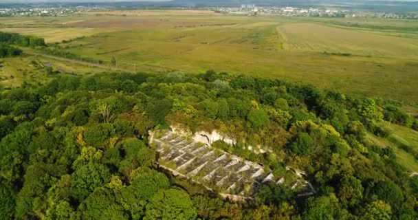 夏の森の美しい古代の要塞の眺め.Tarakaniv 砦. — ストック動画