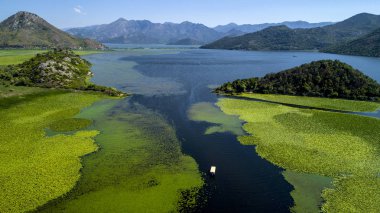 Güneşli bir hava görünümünü dağ gölü İşkodra güzel manzara. Karadağ. Bitkilerle büyümüş Gölü bölgesi İşkodra.