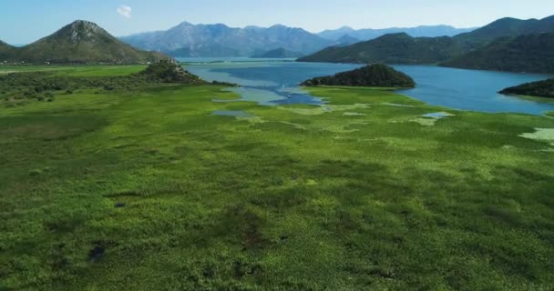 Letecký pohled na krásnou krajinu Skadarské jezero v horách za slunečného dne. Černá Hora. Území jezera Skadarské zarostlá rostlinami. — Stock video