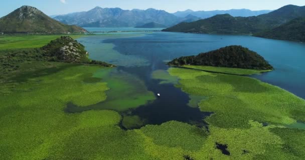 Letecký pohled na krásnou krajinu Skadarské jezero v horách za slunečného dne. Černá Hora. Území jezera Skadarské zarostlá rostlinami. — Stock video