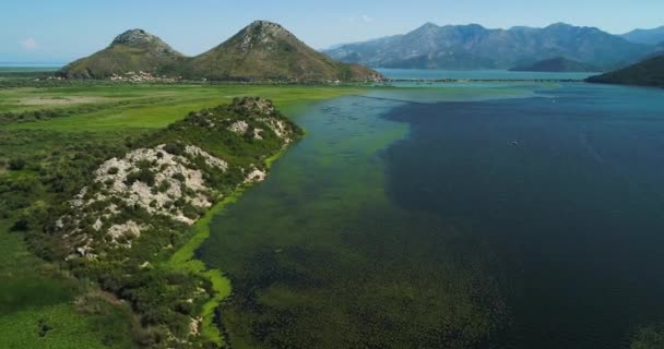 Letecký pohled na krásnou krajinu Skadarské jezero v horách za slunečného dne. Černá Hora. Území jezera Skadarské zarostlá rostlinami. — Stock video